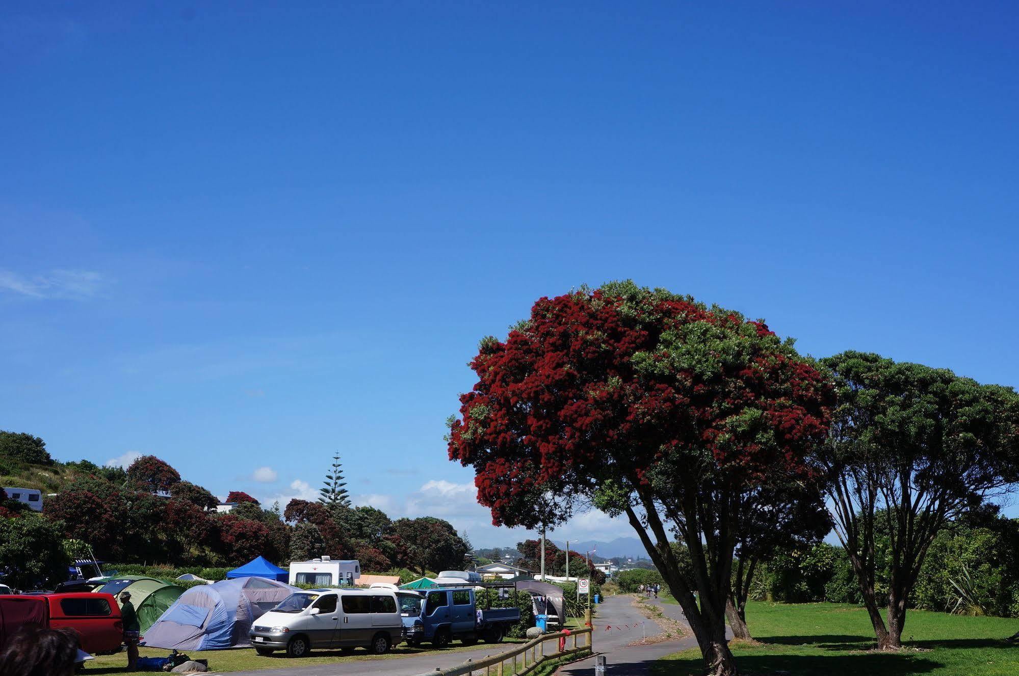 Fitzroy Beach Holiday Park New Plymouth Luaran gambar